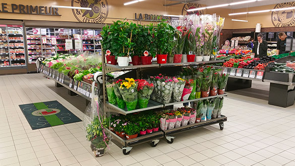 Mobilier fleur pour magasin