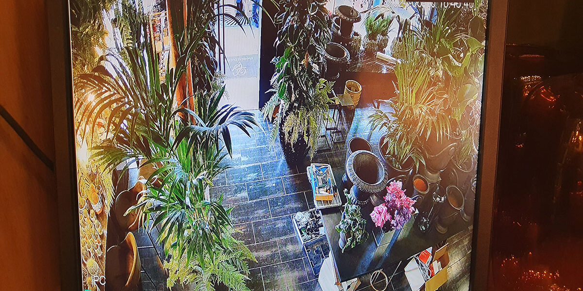 Sécurité magasin fleuriste installation camera surveillance-1